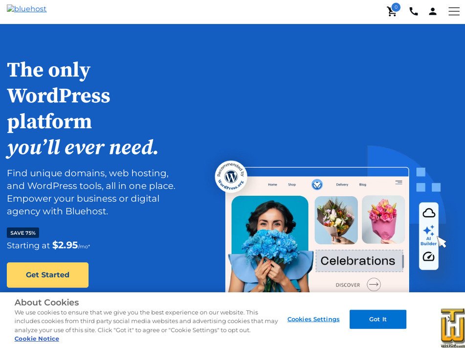 Taken on 24 January, 2025 bluehost.com screenshot