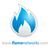 flamenetworks.com Icona