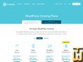 screenshot of Custom from getflywheel.com