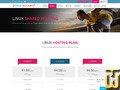 screenshot of Economy from hostaccent.com