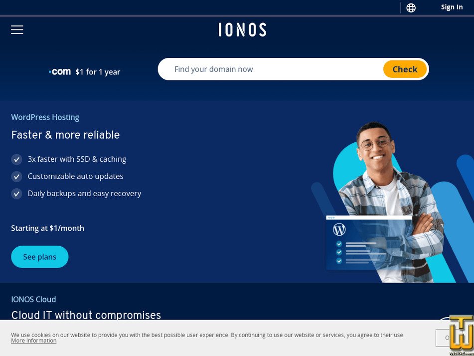 Taken on 21 January, 2025 ionos.com screenshot