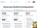 screenshot of Custom from wpengine.com