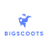 bigscoots.com значок