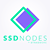 ssdnodes.com Icon